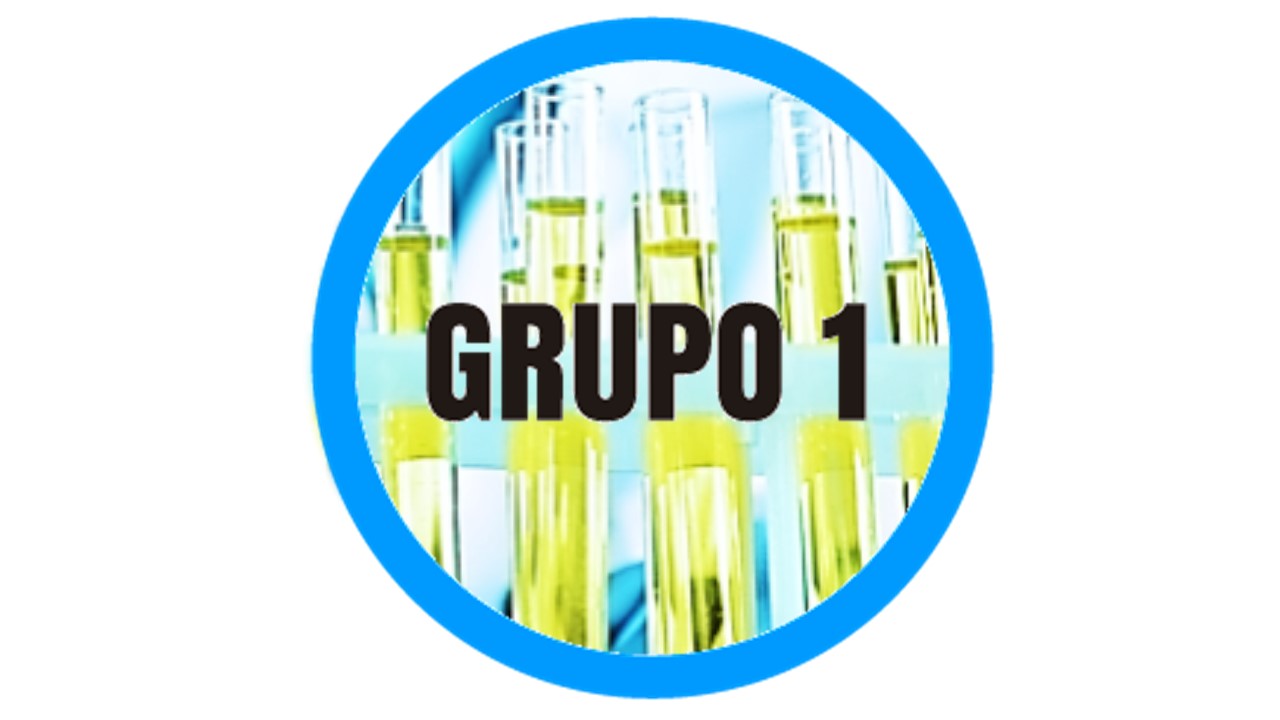 UROANÁLISIS Y LÍQUIDOS BIOLÓGI - P5626-PRACTICO-E0140-09-N04