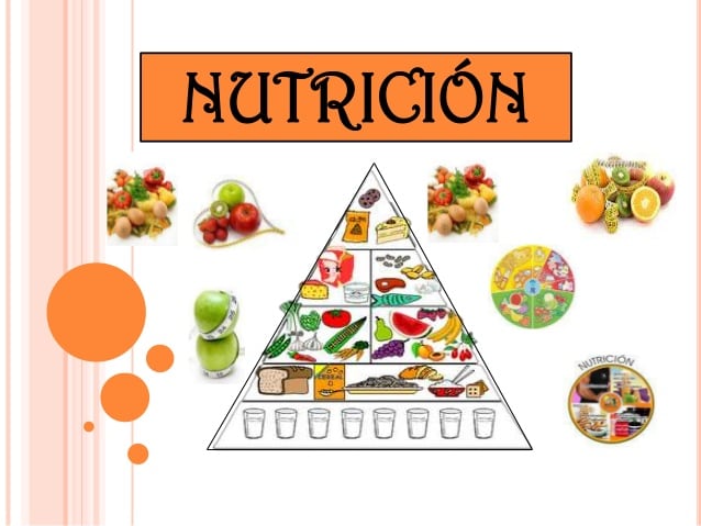 NUTRICIÓN Y DIETÉTICA - P5425-TEÓRICO-E0130-09-N03