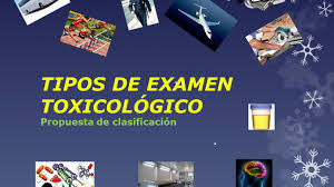 TOXICOLOGÍA - P5548-PRACTICO-E0175-05-N08