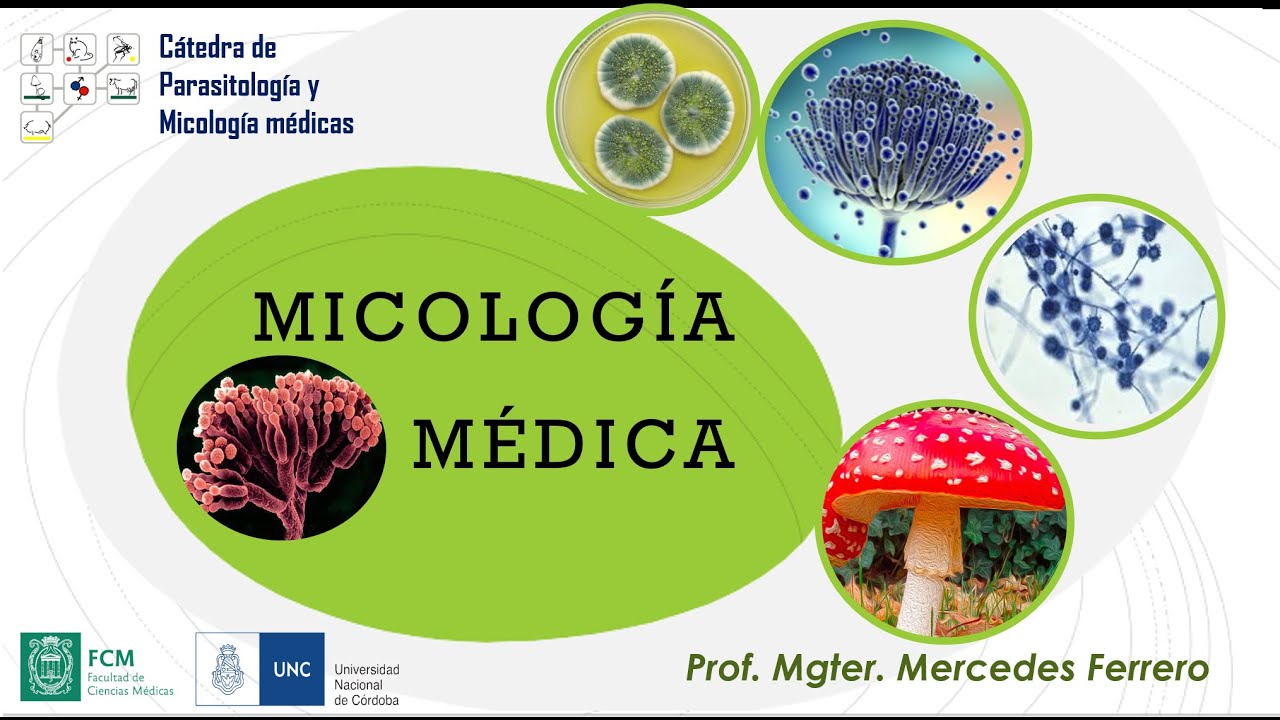 MICOLOGÍA MÉDICA - P5596-TEÓRICO-E0068-09-N07