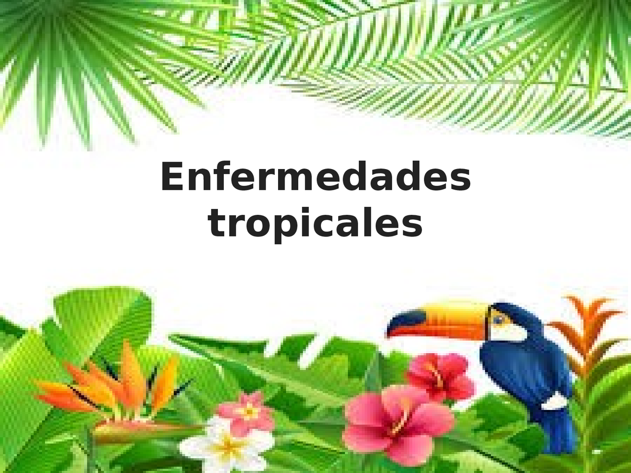 ENFERMEDADES TROPICALES - P5613-TEÓRICO-E0117-09-N08