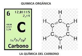 QUÍMICA ORGÁNICA - P1101-TEÓRICO-E0174-05-N02